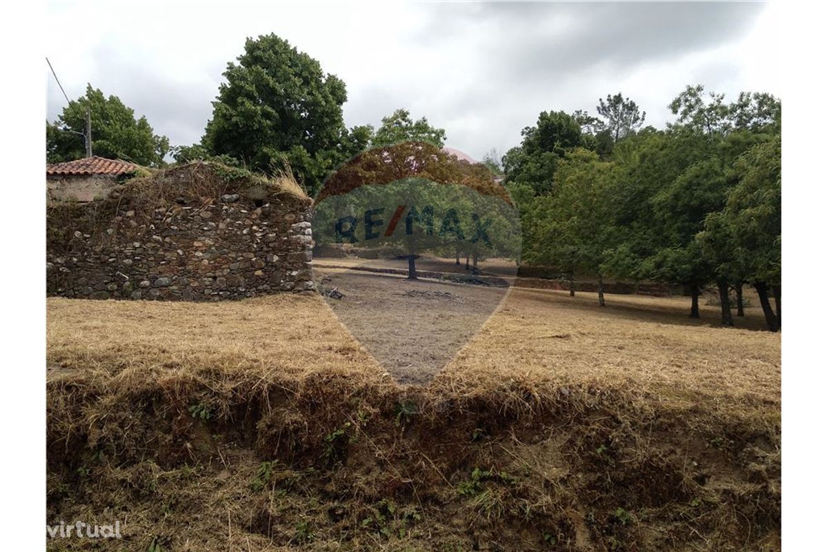 Urbano/duas ruinas/um lote de castanheiros