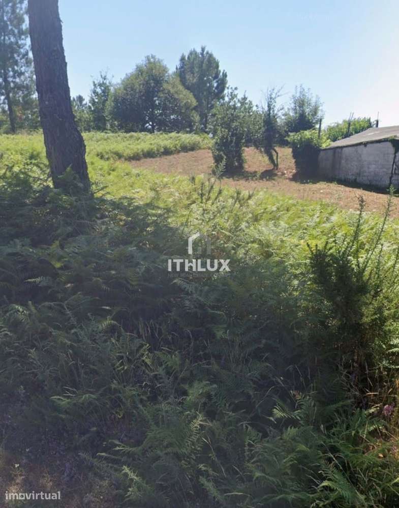 Terreno Construtivo – Cabeceiras de Basto | Painzela (Baloutas) - Grande imagem: 2/6