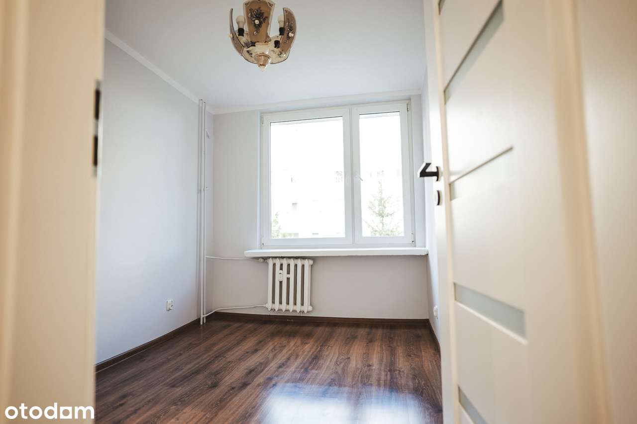 JEDYNE TAKIE do TWOJEJ ARANŻACJI - Pełny obrazek: 4/12