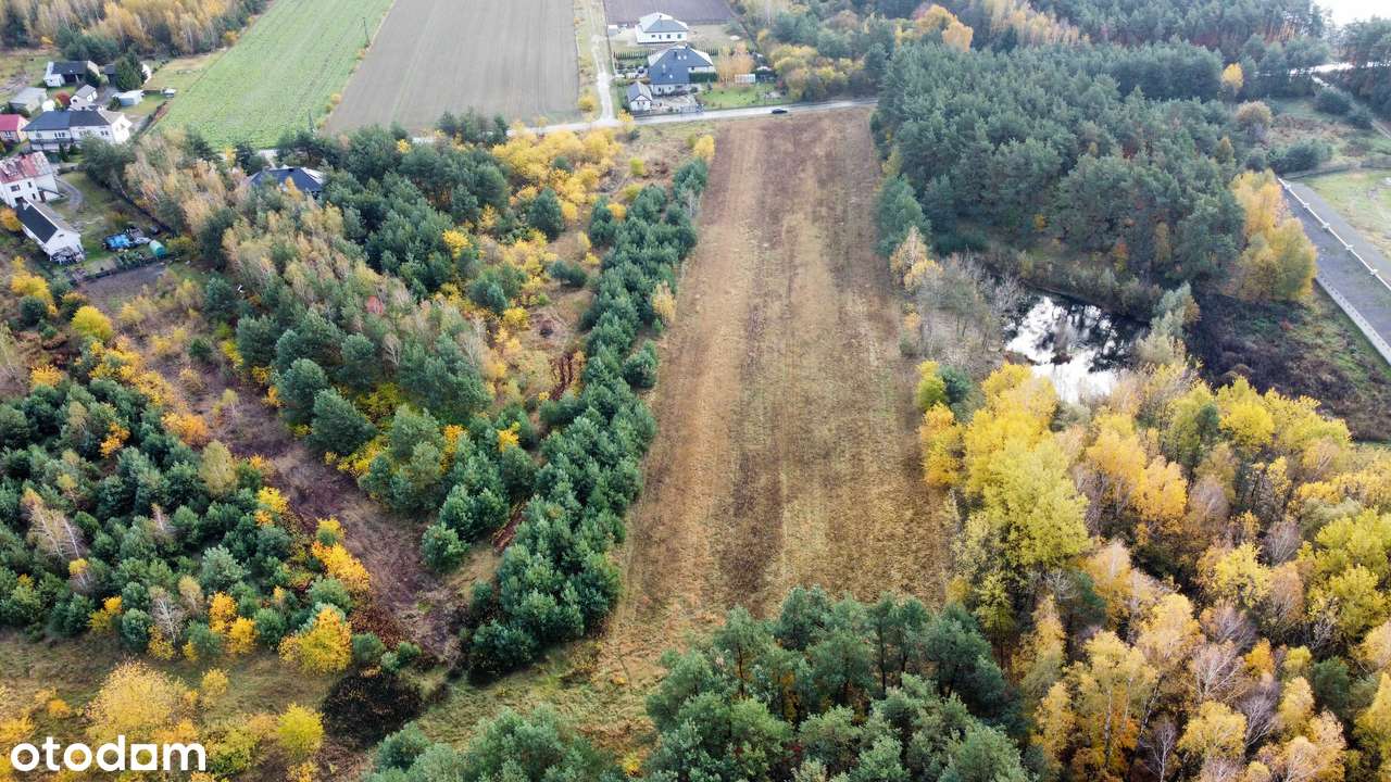 Atrakcyjna nieruchomość gruntowa w Rzeczycy – doskonała inwestycja - Pełny obrazek: 5/7