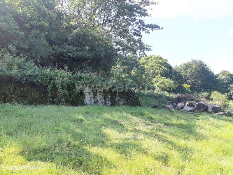 Terreno / Baião, Campelo e Ovil - Grande imagem: 4/13