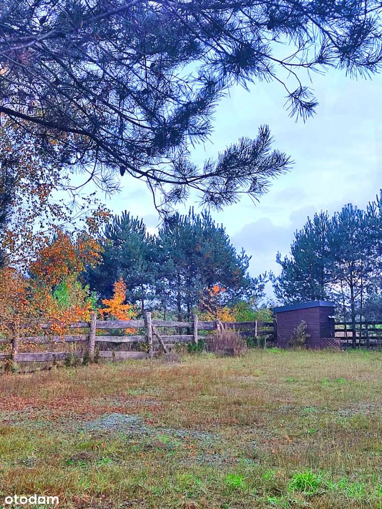 Działka, na której stanie Twój dom!-2