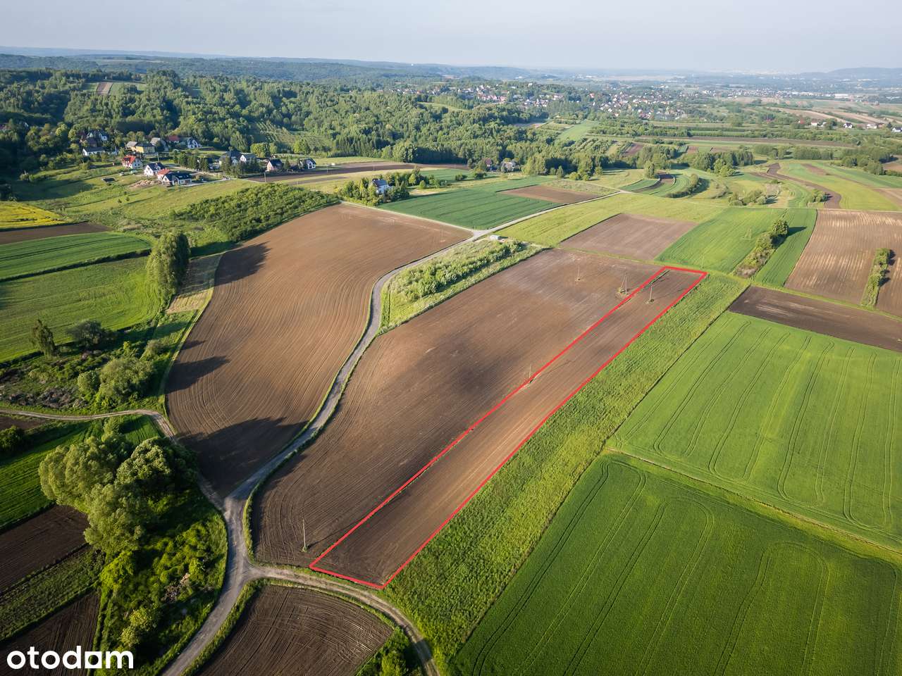 Rybna | Działka rolna | 54 ar | 0% PROWIZJI-1