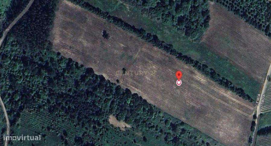 Oportunidade Única em Carvalhal, Bombarral: Terreno com possibilidade - Grande imagem: 5/5