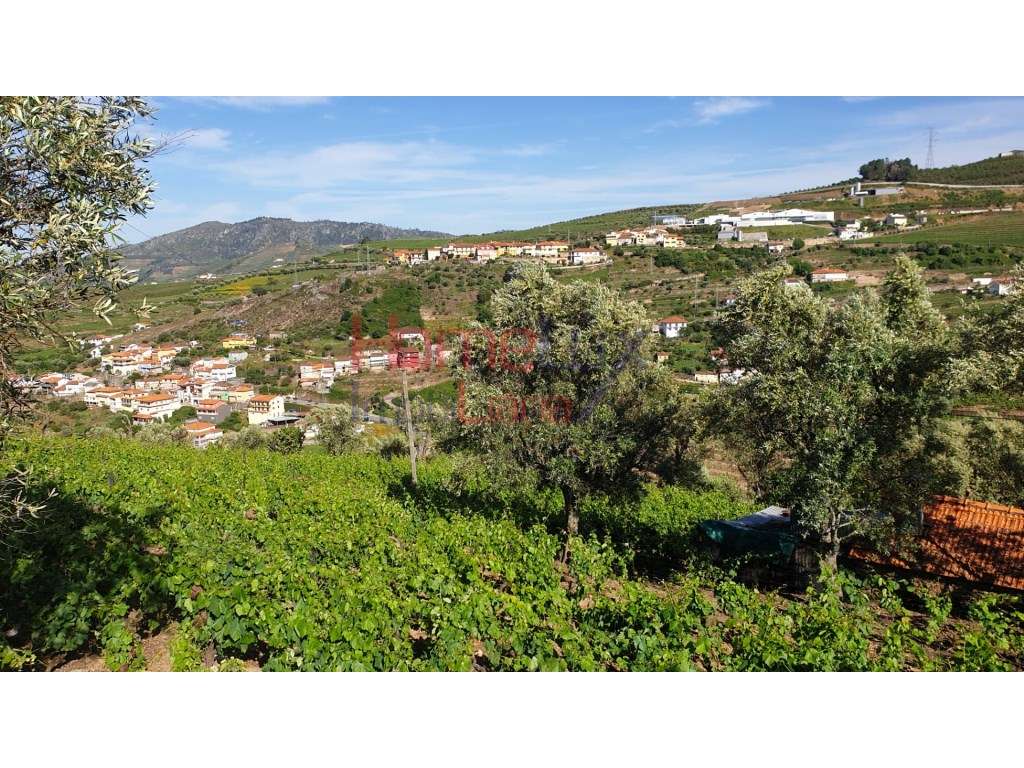 Quintinha para reconstrução - Grande imagem: 5/16