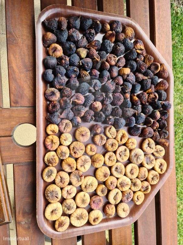 Quinta  para venda - Grande imagem: 4/4