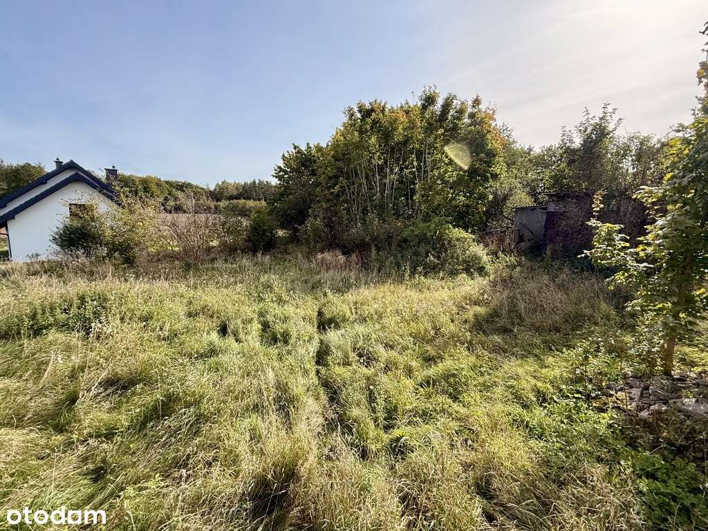 Michalin. Twój dom w sielskim otoczeniu! - Pełny obrazek: 5/17