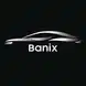 Banix