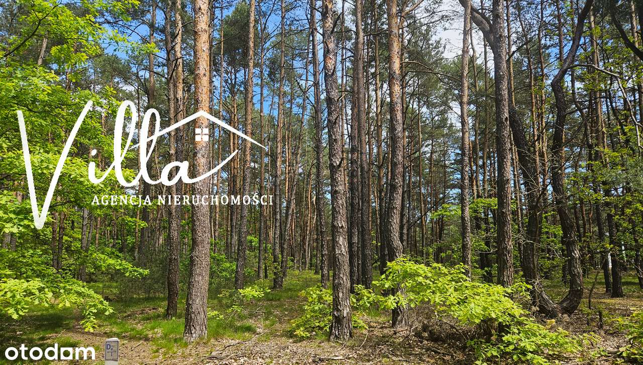 DZIAŁKA DLA NAJBARDZIEJ WYMAGAJĄCYCH-0