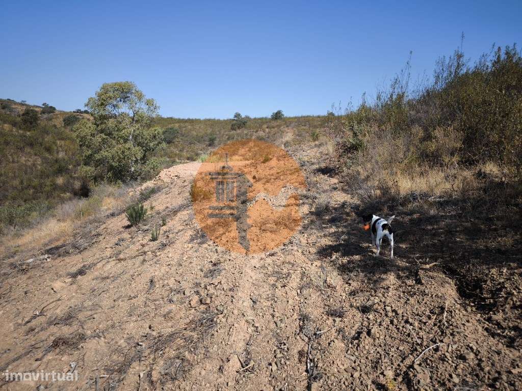 TERRENO RUSTICO COM 5.720 M2 - COM POÇO - CORTE DO GAGO - CASTRO MA... - Grande imagem: 5/36