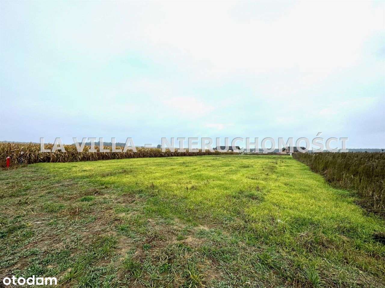 Działka w spokojnym zakątku - Pełny obrazek: 5/10