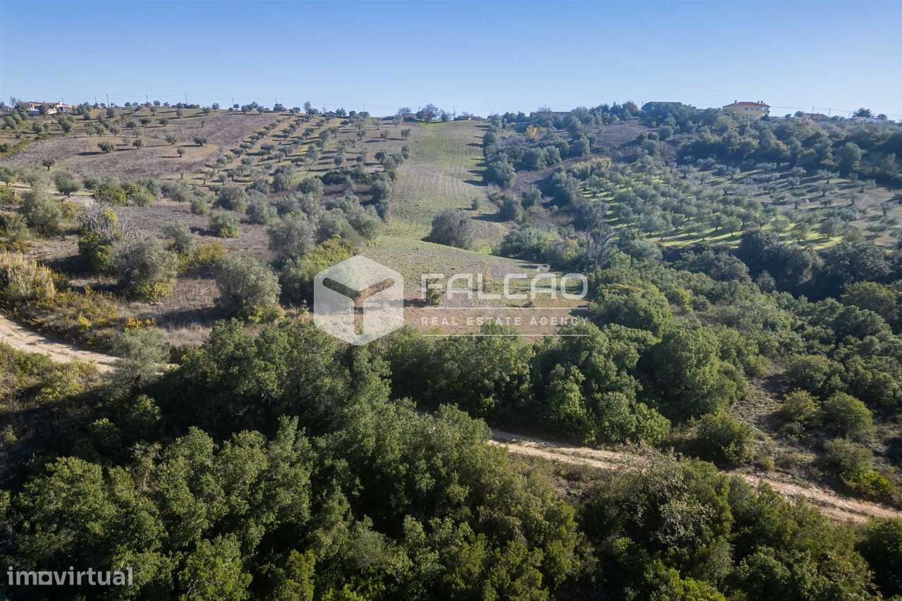 Terreno Para Construção  Venda em Moçarria,Santarém-26