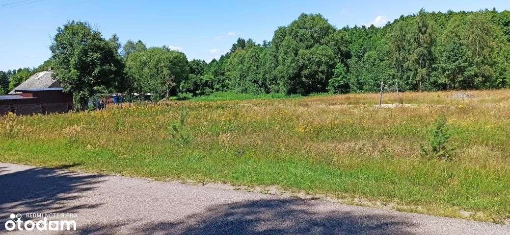 Działki rolne pod Ciechanowem - Pełny obrazek: 5/10