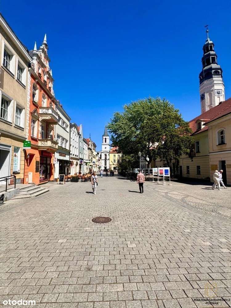 Lokal ścisłe centrum - deptak, blisko Sądu-18