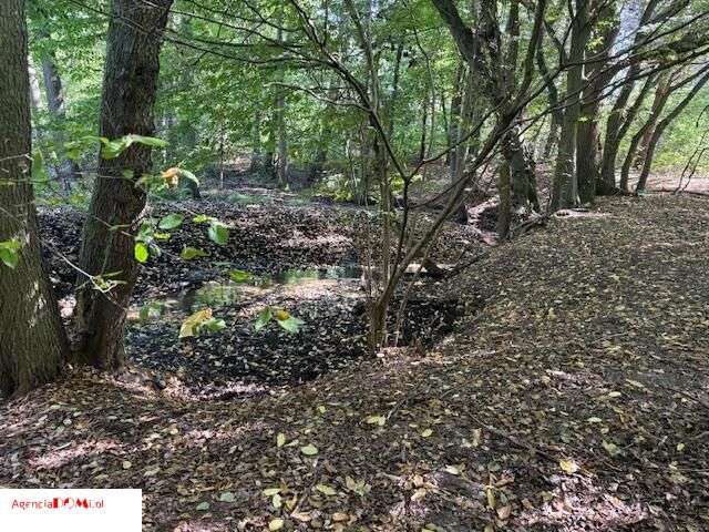 Siestrzeń, 10 000m,do podziału na 6 działek,z Mpzp-7