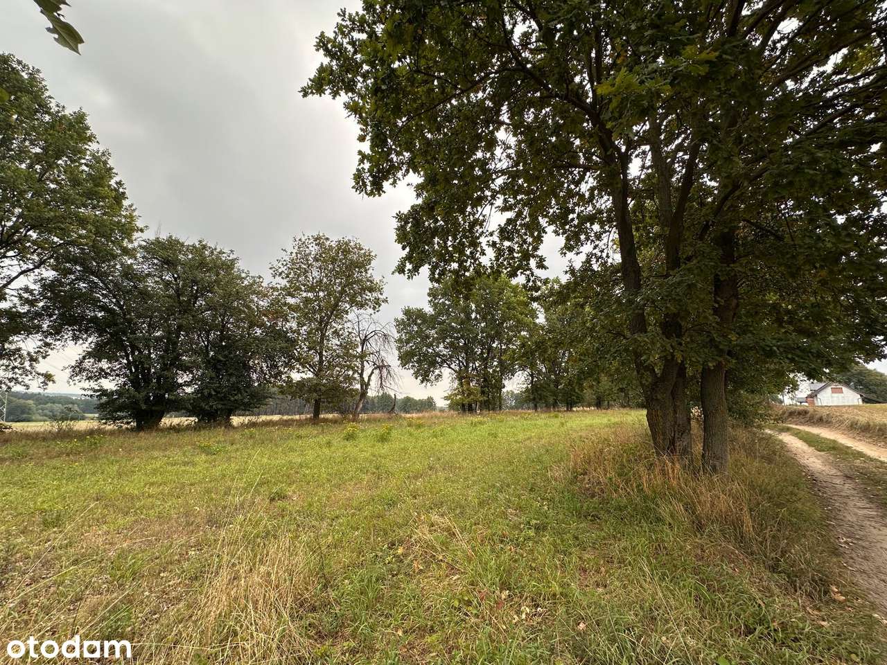 Atrakcyjna działka budowlana przy lesie, wieś Śrem k.Sierakowa - Pełny obrazek: 5/8