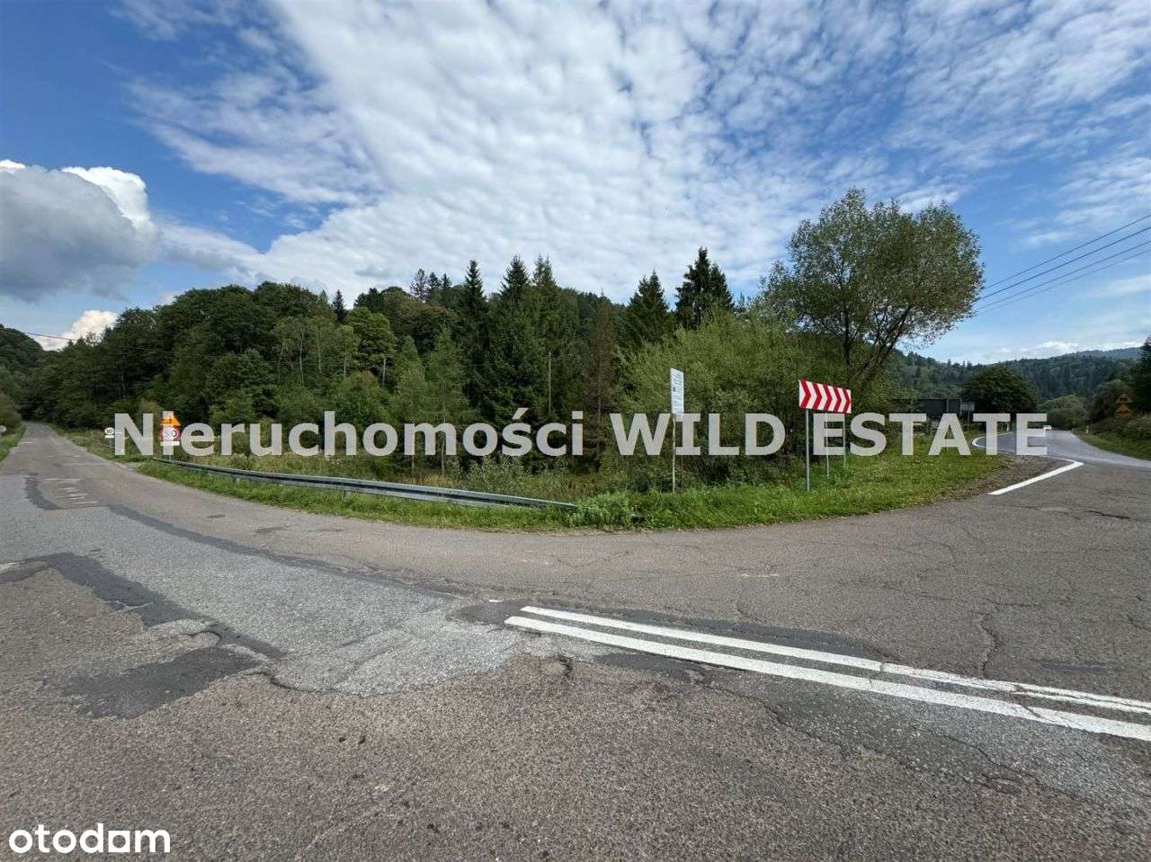 Działka, 5 172 m², Dołżyca - Pełny obrazek: 5/10