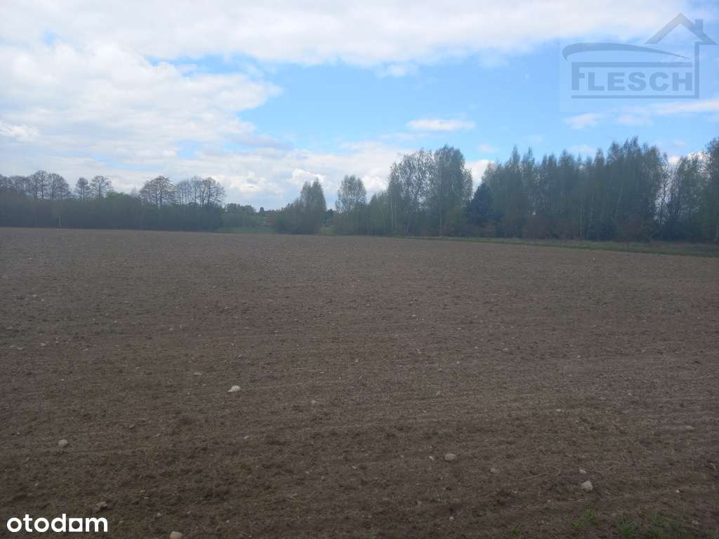 Działka rolno-budowlana 1,5 ha Lisówek - Pełny obrazek: 3/18