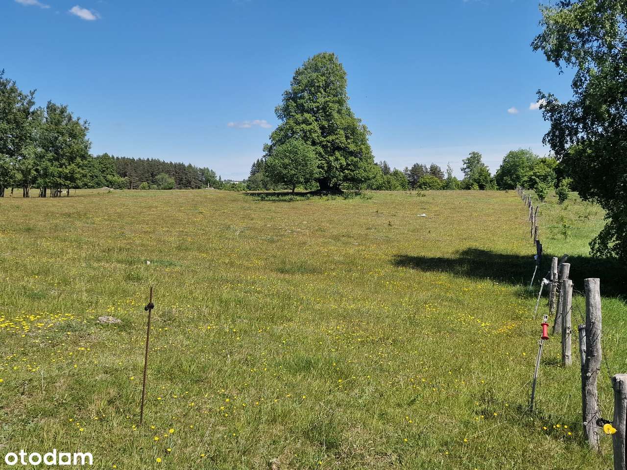 Piękna duża działka. Inwestycja w ziemię. Blisko lasu i wody. - Pełny obrazek: 2/19