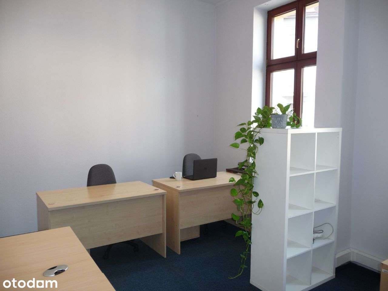 Pomieszczenia biurowe Zwycięstwa 10 Gliwice - Pełny obrazek: 4/8