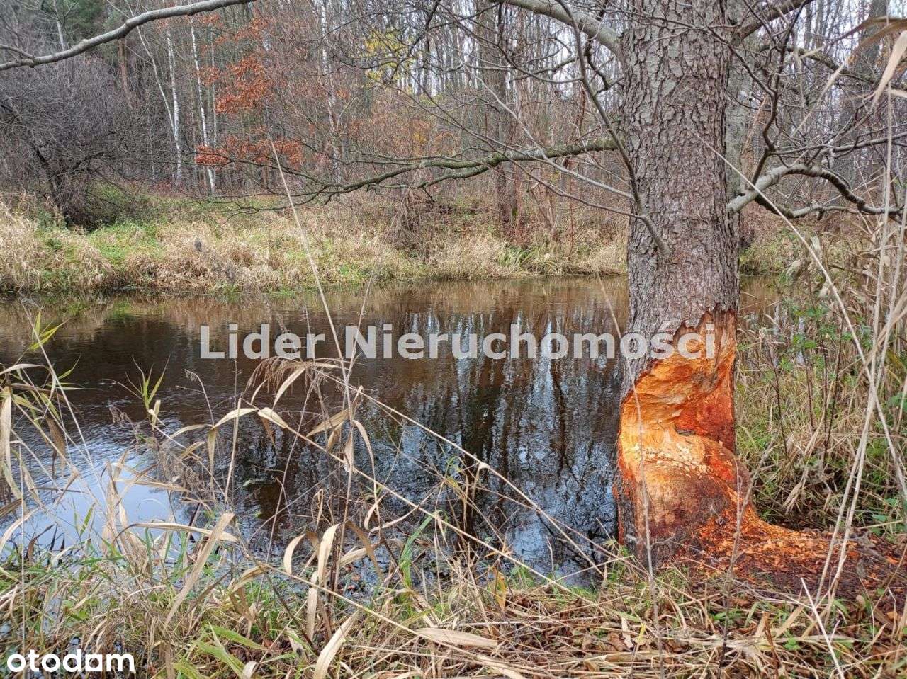 Sielska działka budowlana w Ldzaniu ! Widok na las i rzekę.-5