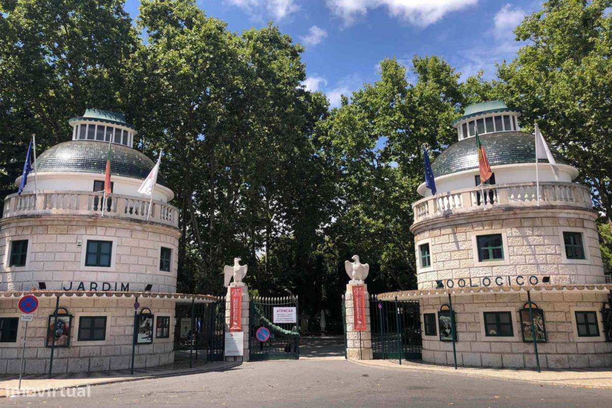 Apartamento com 1 quartos - localizado em Sete Rios Lisbon - Grande imagem: 5/6