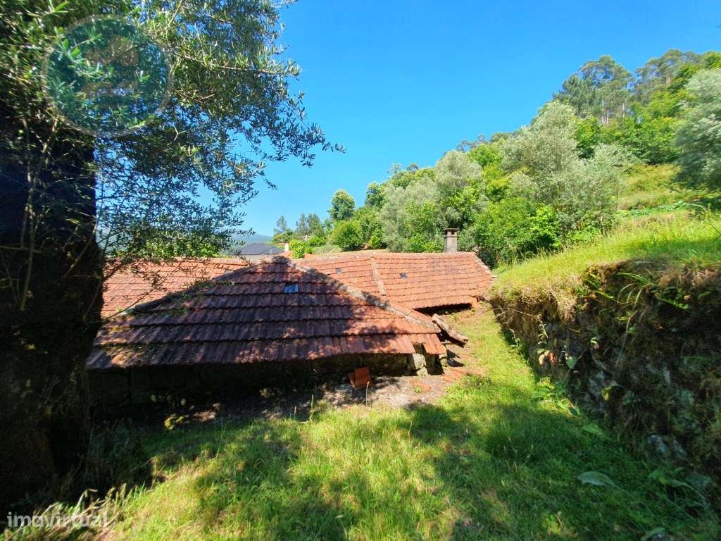 Quinta à venda para restauro em Arroteia freguesia de Rossas-12