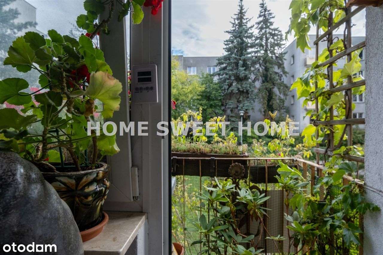 Trzy pokoje, Sady Żoliborskie, Okazja-9