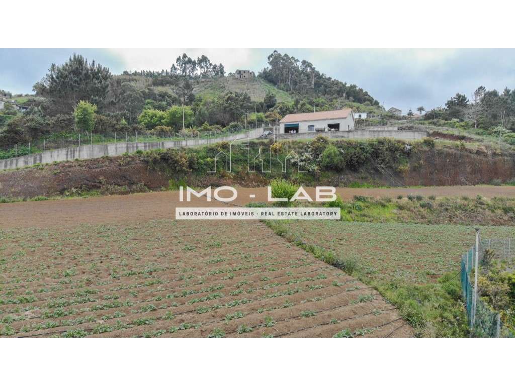 Armazém + 25.566m2 de Terreno Cultivado - São Jorge - Santana-12