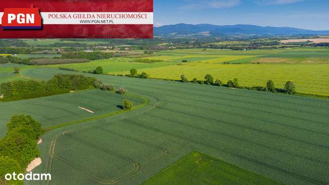 OKazja, działki budowlane - 3,26 ha (21 dzialek) - Pełny obrazek: 5/7