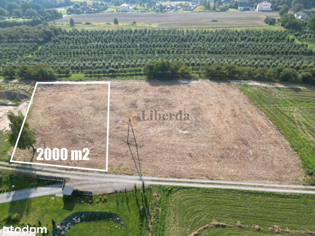 Motycz - 2000M2 - Okolica Lublina - Pełny obrazek: 3/3