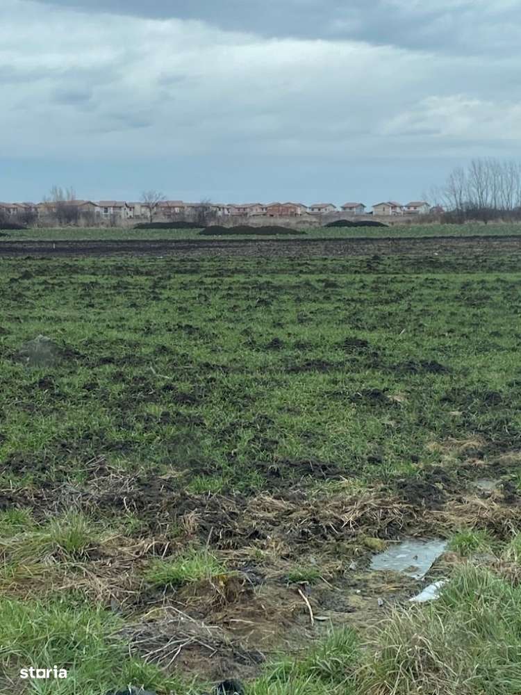 Teren intravilan in Giarmata 915 mp Fs 27-0