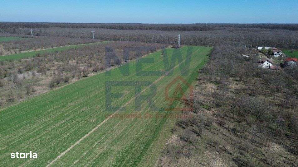Teren de vanzare, Sabareni - Imagine principală: 3/7