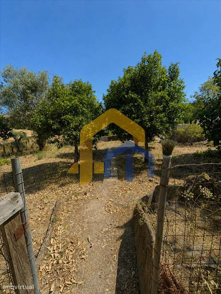 Quintinha para Recuperação Total em Glória – Estremoz-42