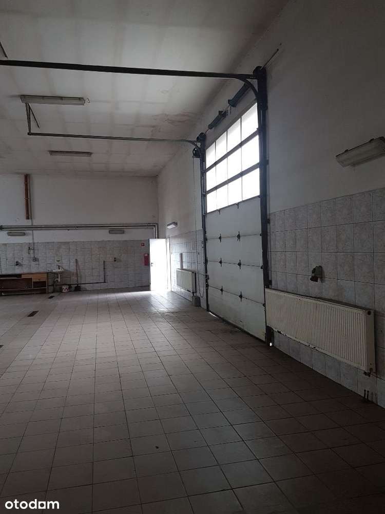 Hala na wynajem 210 m² z monitoringiem - Pełny obrazek: 4/6