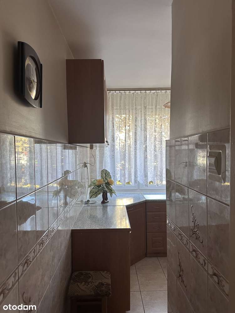 2-pokojowe mieszkanie na parterze z balkonem - 45,46 m² - Pełny obrazek: 5/20