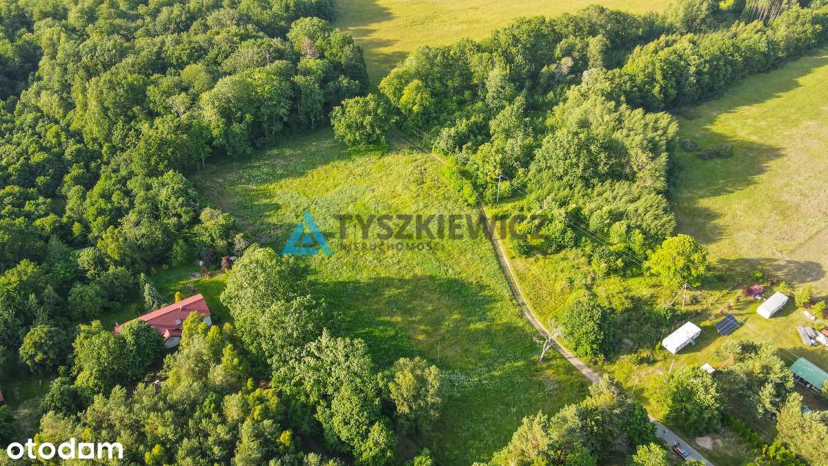 Nieruchomość z 2 stron otoczona lasem - Pełny obrazek: 5/20