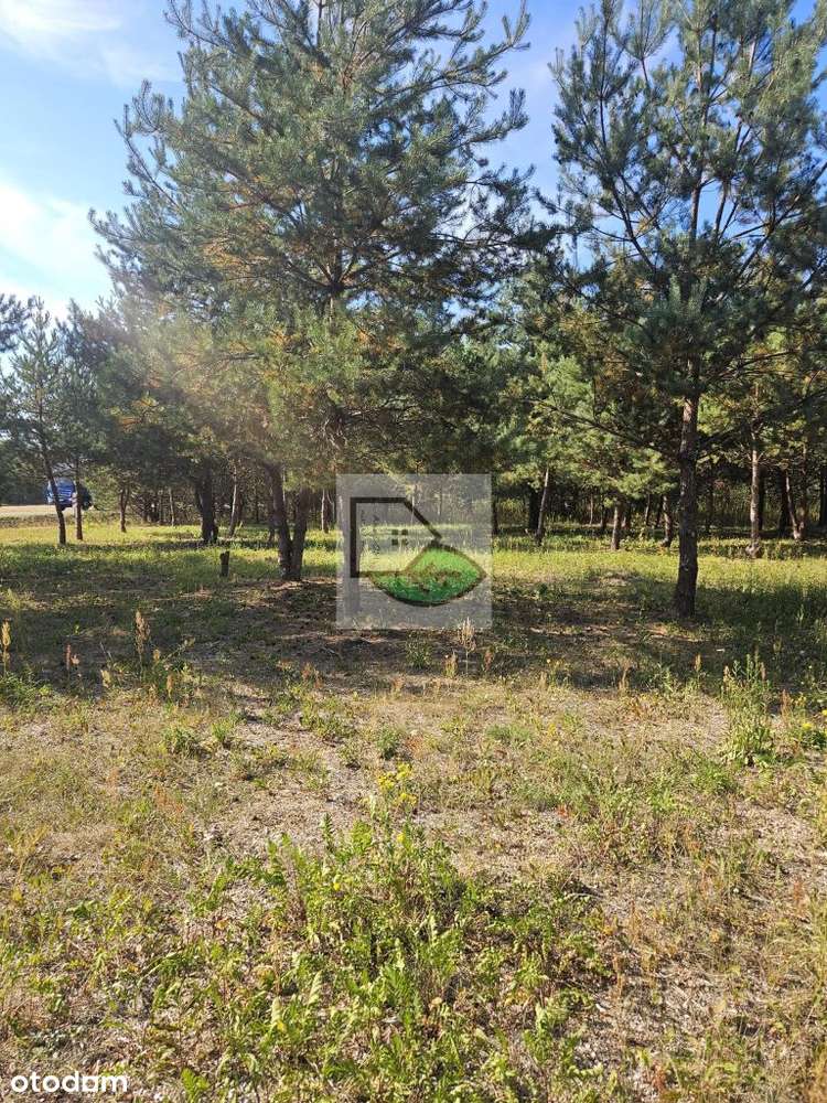 Działka, 1 250 m², Uwieliny - Pełny obrazek: 2/2