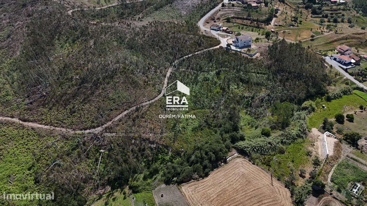 Terreno Florestal em Matas, Ourém-11
