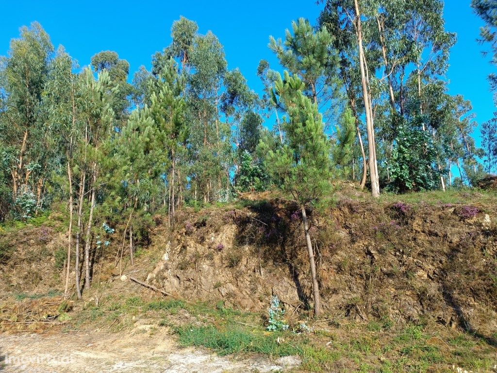 Terreno em Marrancos, Vila Verde