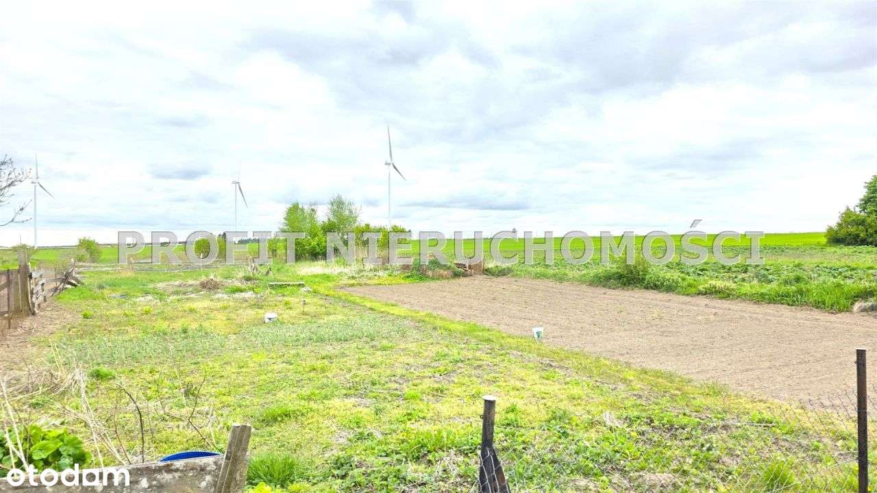 Segment w zabudowie szeregowej z dużą działką - Pełny obrazek: 5/17