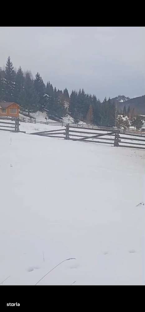 Teren langa padure 8179 mp , cu izvoare de munte-5