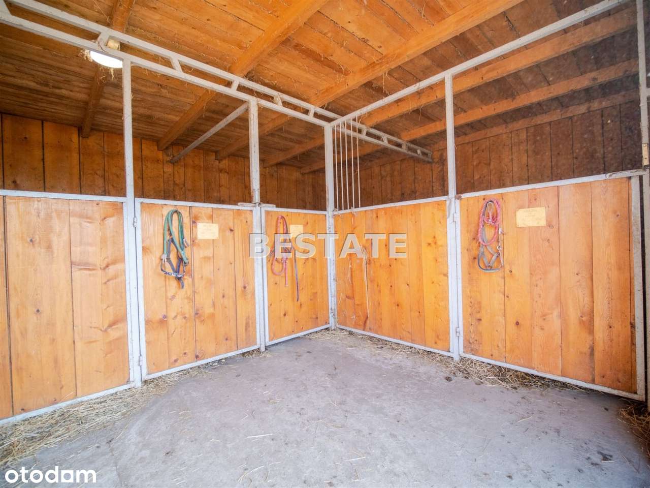 Ośrodek na sprzedaż, Pleśna-9