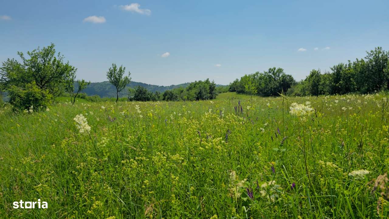 Teren de vânzare – 6.352 mp – Slavu (Prahova), cu vedere superbă - Imagine principală: 2/7