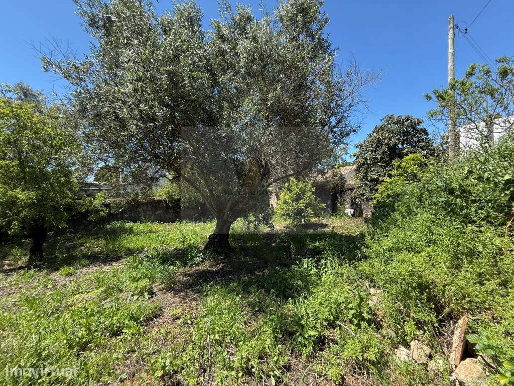 Terreno para Construção | São Brás de Alportel - Grande imagem: 5/18