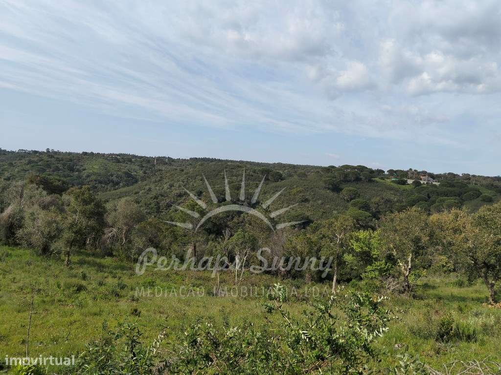 Terreno Rústico - Ademas - Grande imagem: 5/15