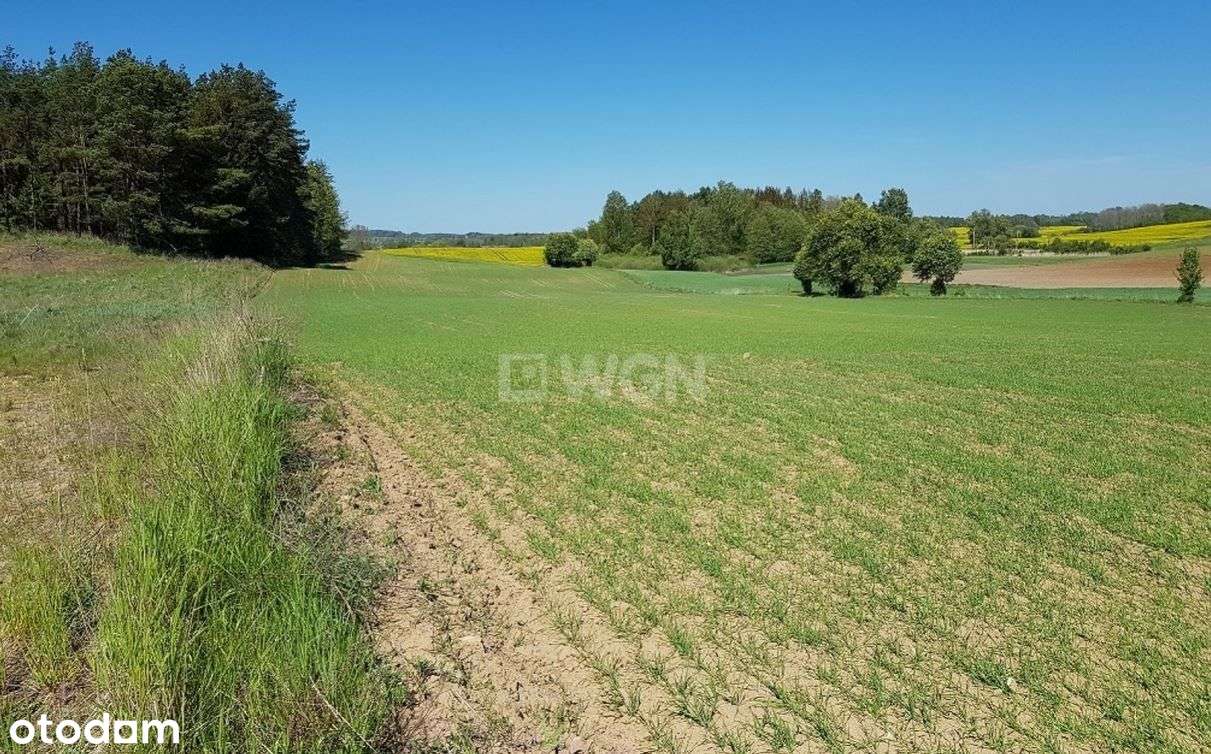 Sprzedam działki na Mazurach.MPZP.Bogaczewo. - Pełny obrazek: 4/6