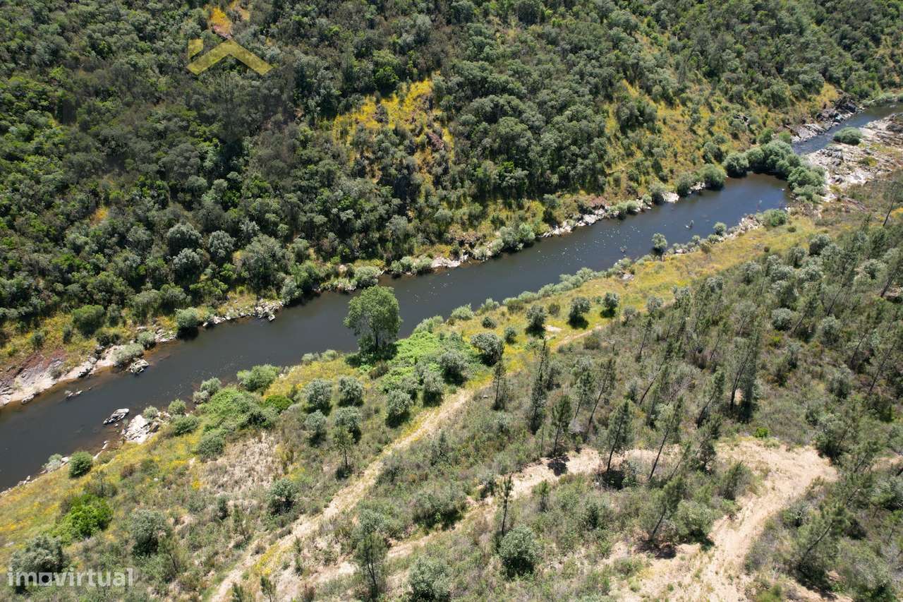 Terreno Rústico  Venda em Sarzedas,Castelo Branco - Grande imagem: 2/14