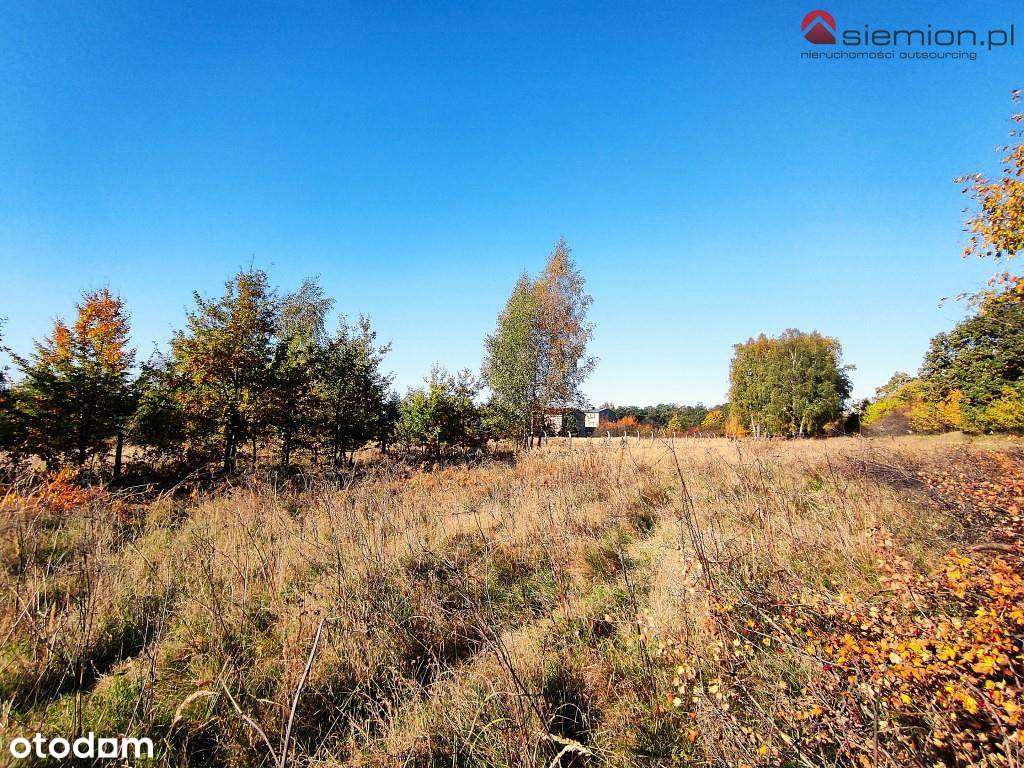 Atrakcyjna działka budowlana Rogoźnik-6