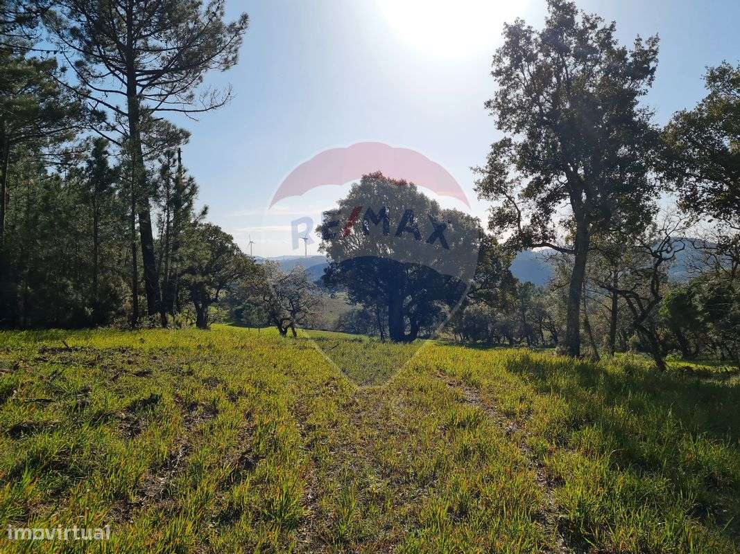 Terreno  para venda - Grande imagem: 4/6